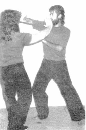 Một Phương Pháp Luyện Tập Cuối Cùng (A Final Training Method) — hình 194, ảnh gốc trang 94
