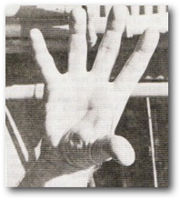 Hình 4, ảnh gốc trang 5