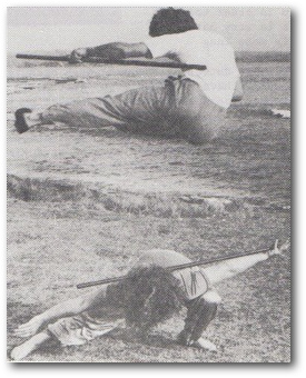 Hình B, ảnh gốc trang 12