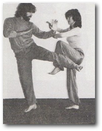 Hình 32, ảnh gốc trang 14