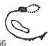 fig730-69
