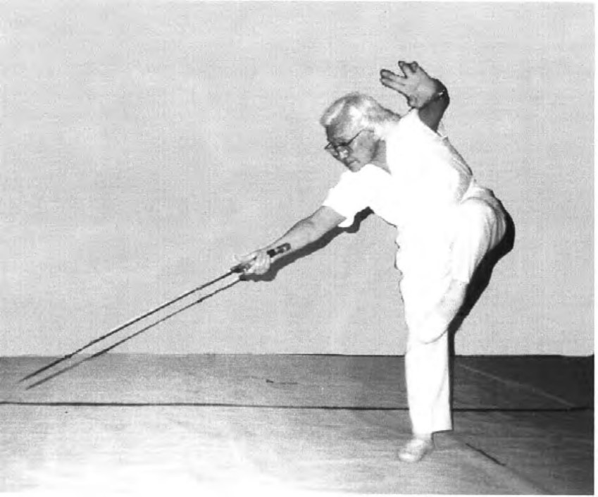 Sư phụ Fu Shu Yun trong động tác