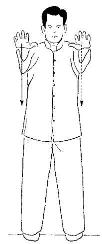 Thức 1 — Khai Thức, tư thế minh họa 5