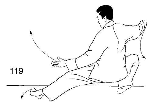 Thức 16 — Tả Hạ Thế Độc Lập, tư thế đứng trên một chân
