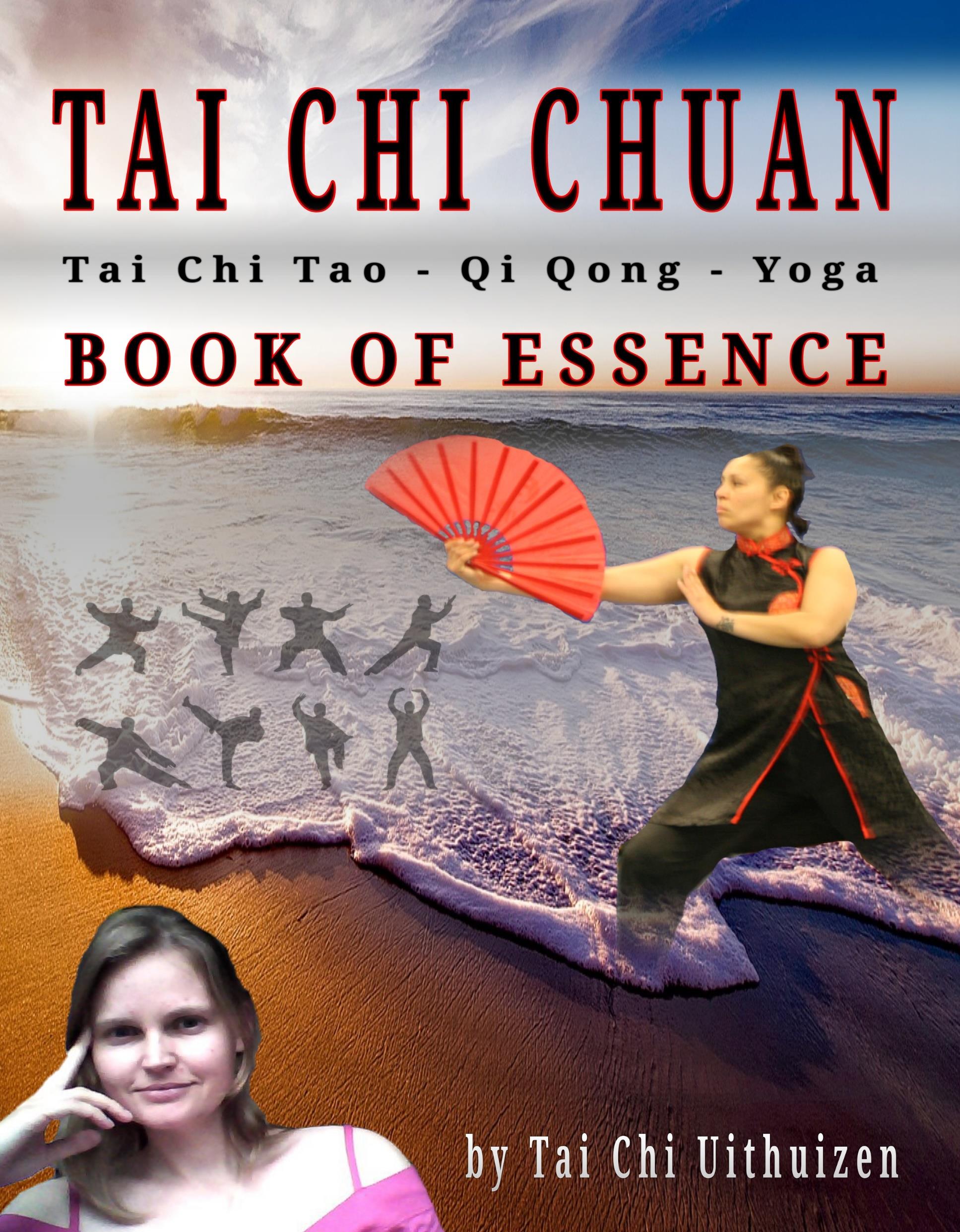 Bìa sách Book of Essence của trường Thái Cực Uithuizen