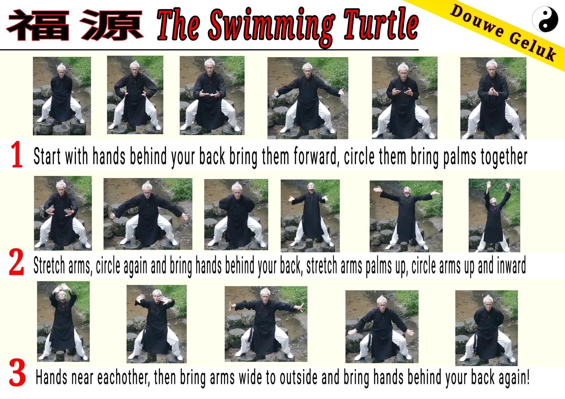 Bài tập 福源 “Rùa Bơi” (The Swimming Turtle) — bộ 福源 của Douwe Geluk.