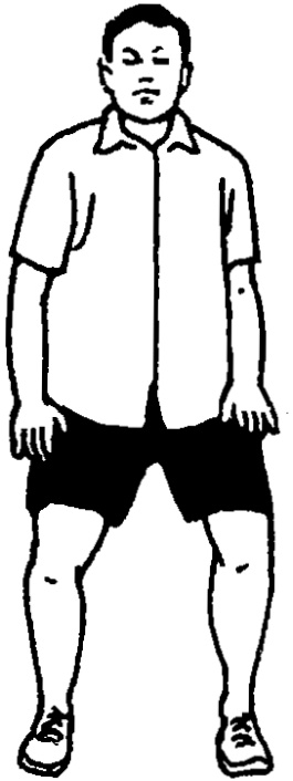 Hình 3 — Thuần Âm thức