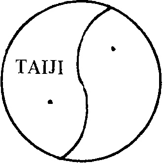 Biểu tượng Thái Cực — âm dương