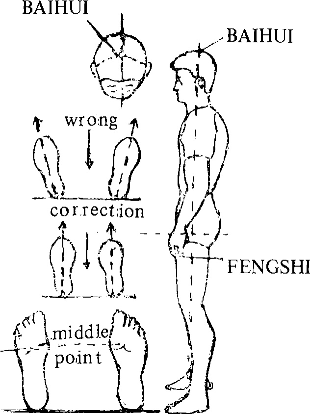 Sơ đồ tư thế: Bách Hội — Phong Thị — Dũng Tuyền, sai và cách chỉnh