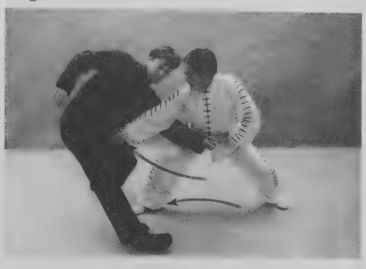 Hổ Hình Hoán Thức: hai tay vận động theo cung xuống Đan Điền