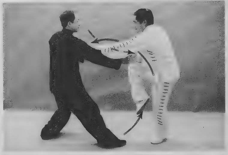 Bạch gạt tay Hắc lên và đấm Pháo Quyền vào ngực