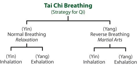 Âm dương của hô hấp