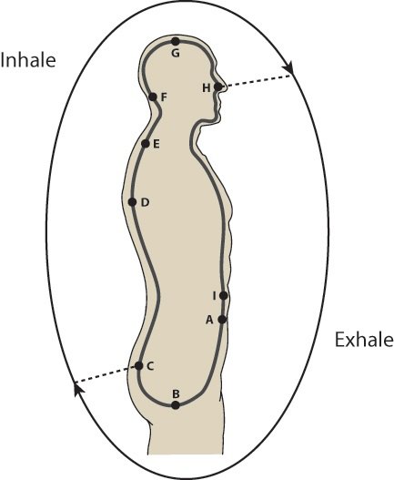 Chu kỳ một hơi thở (Đạo giáo)
