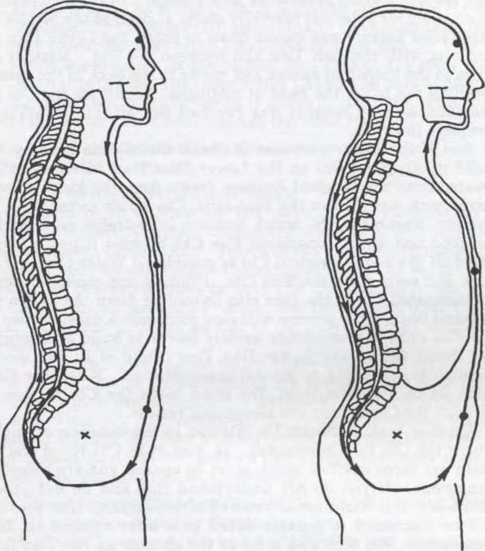 Đường Gió của sự vận hành Khí