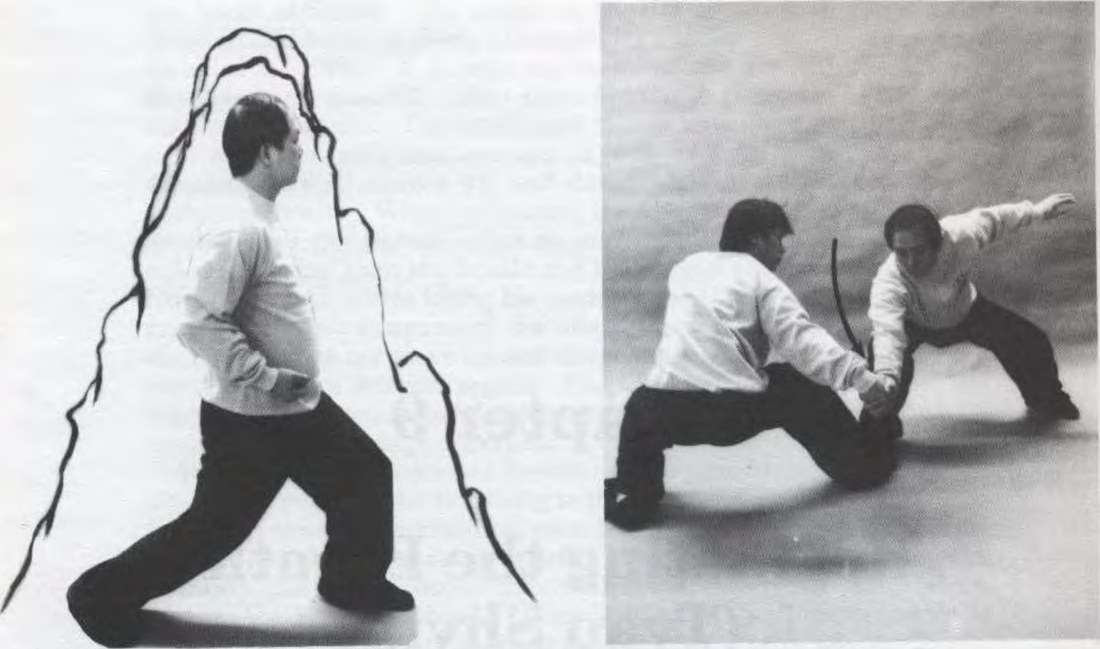 Cuộc thi bám rễ và giữ cân bằng