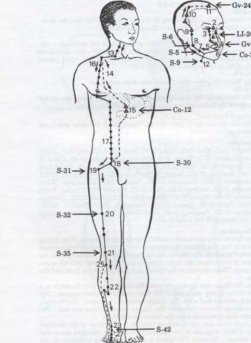 Kinh Vị túc dương minh
