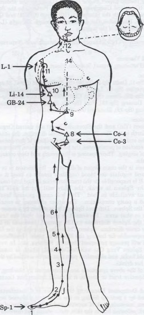 Kinh Tỳ túc thái âm