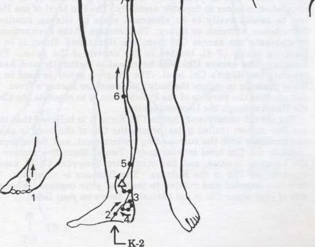 Kinh Thận túc thiếu âm