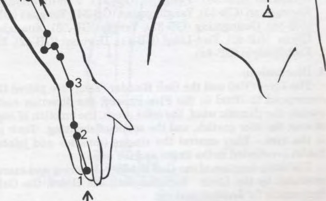Kinh Tam Tiêu thủ thiếu dương