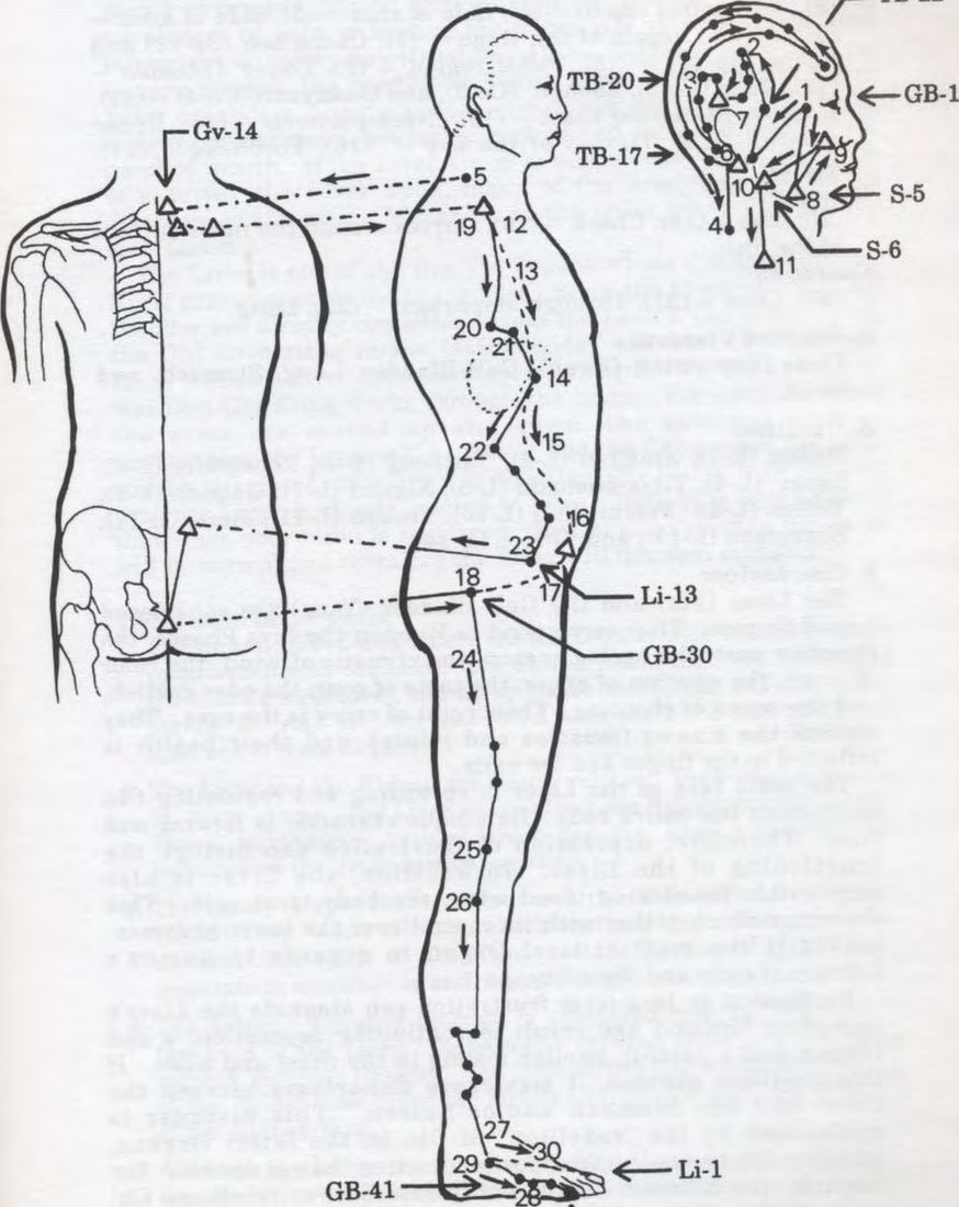 Kinh Đởm túc thiếu dương