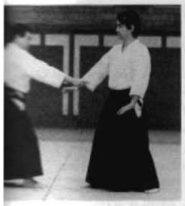Daitoryu photo 12