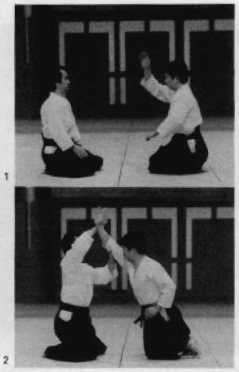 Daitoryu photo 15