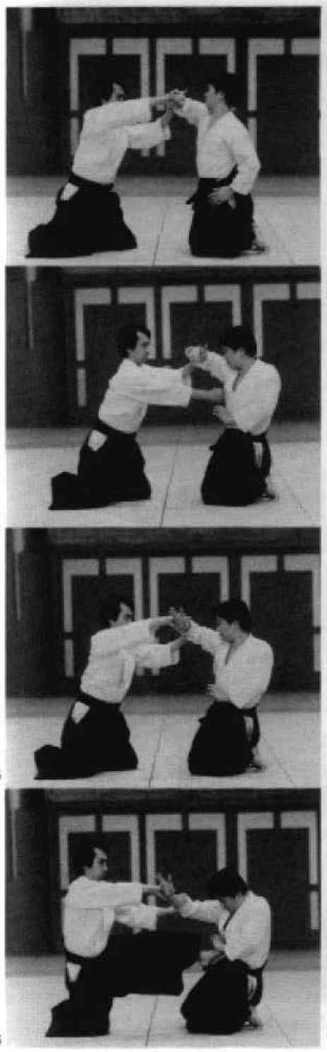 Daitoryu photo 16