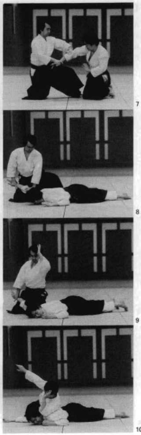 Daitoryu photo 17