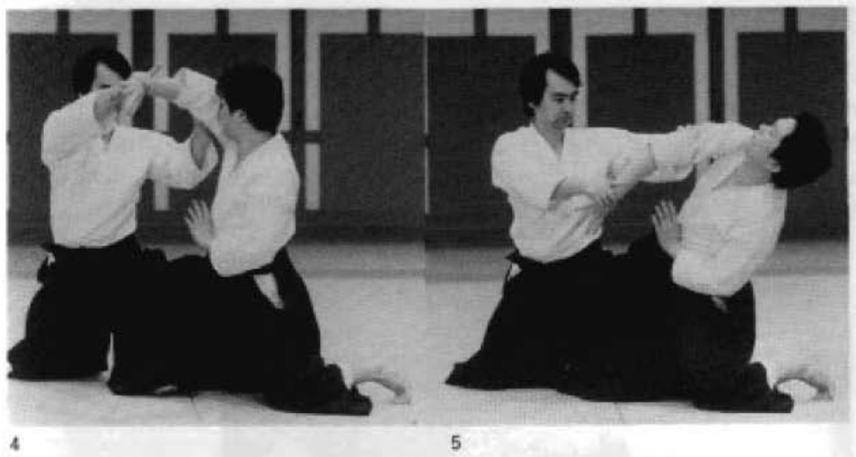Daitoryu photo 19