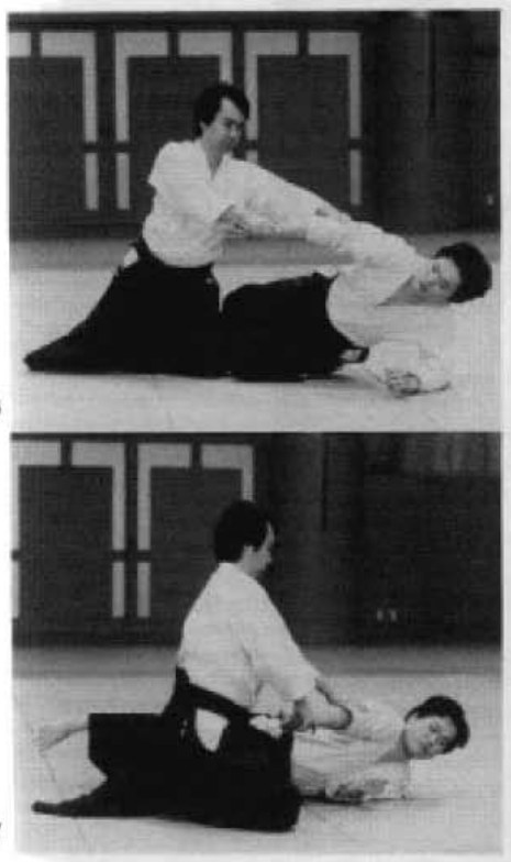 Daitoryu photo 20