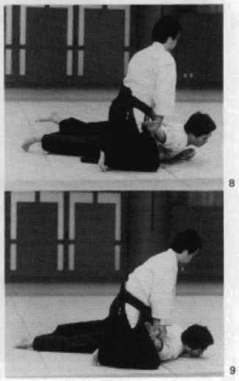 Daitoryu photo 21