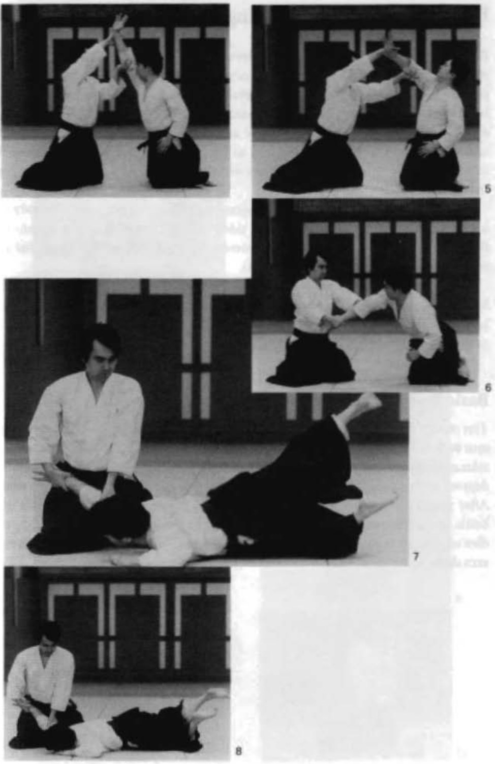 Daitoryu photo 23