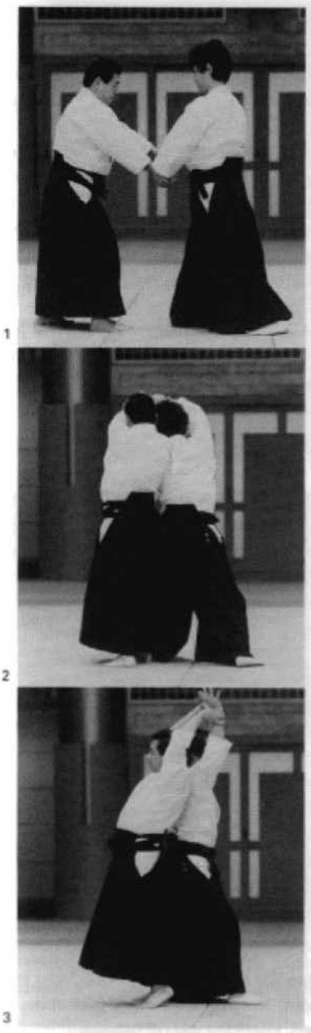 Daitoryu photo 28