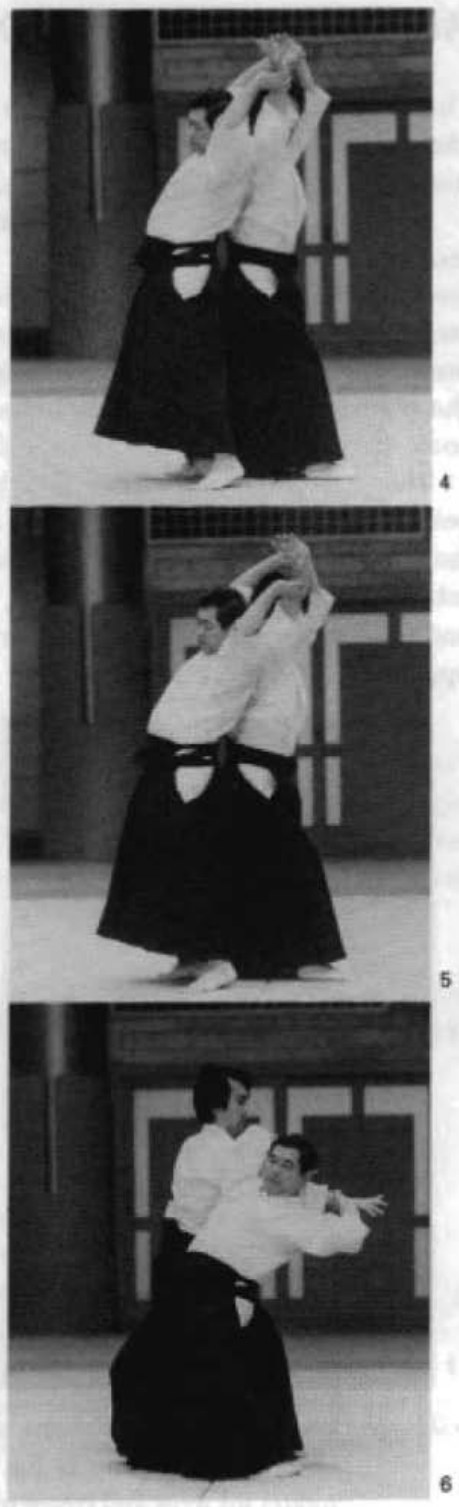 Daitoryu photo 29