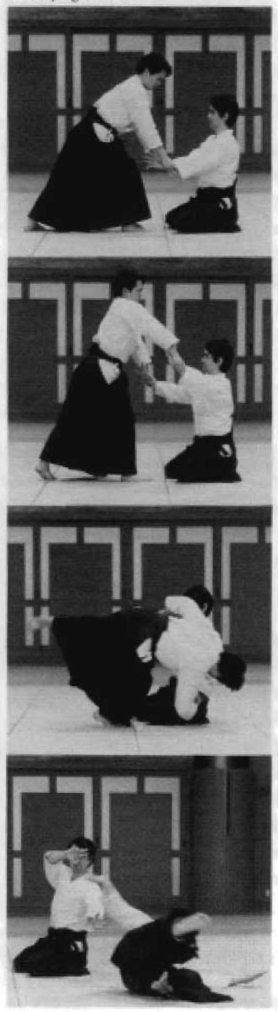 Daitoryu photo 34