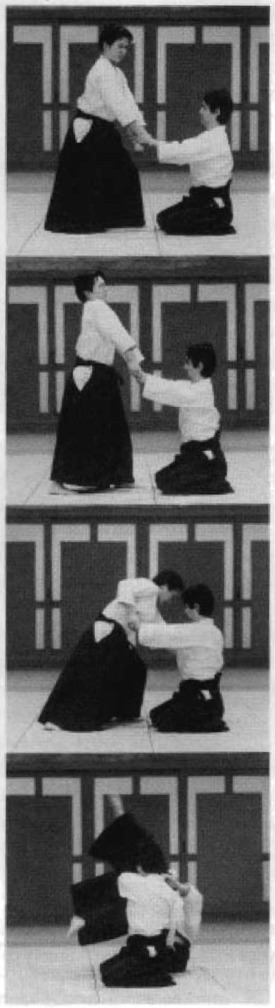 Daitoryu photo 35