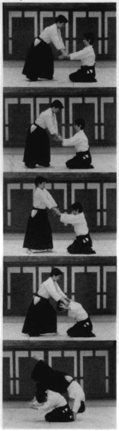 Daitoryu photo 39