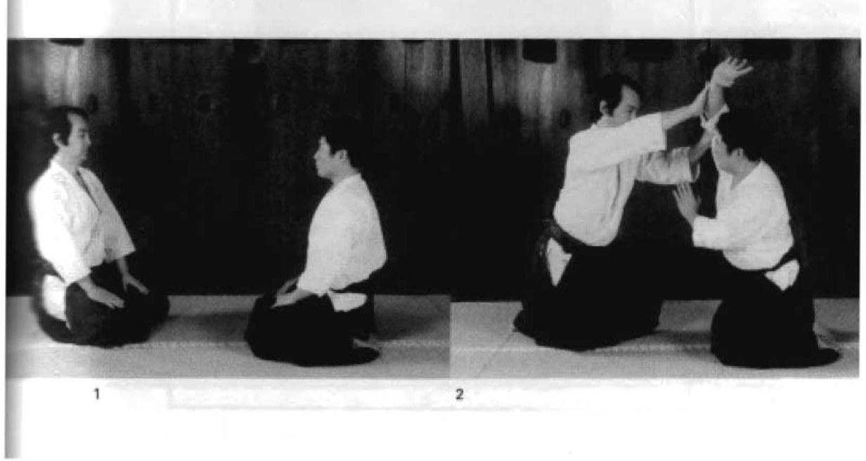 Daitoryu photo 44