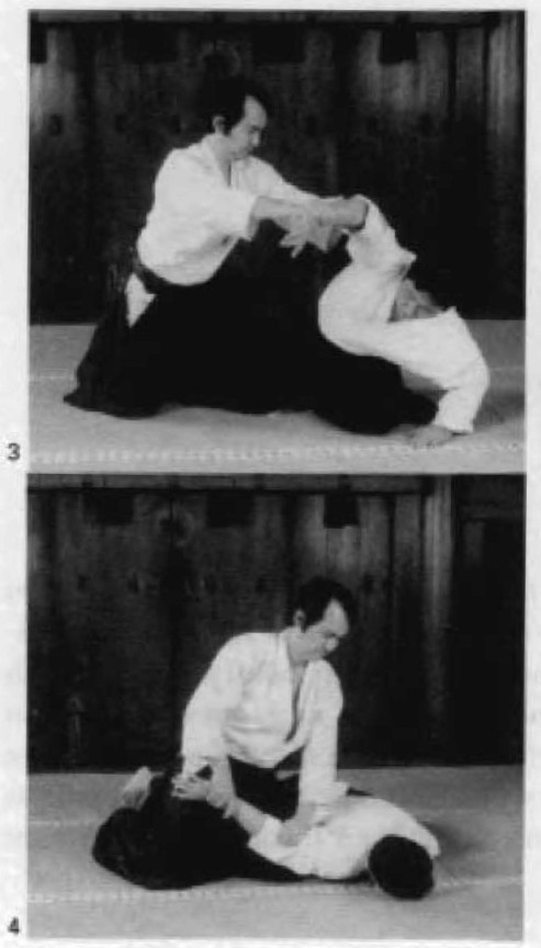 Daitoryu photo 45