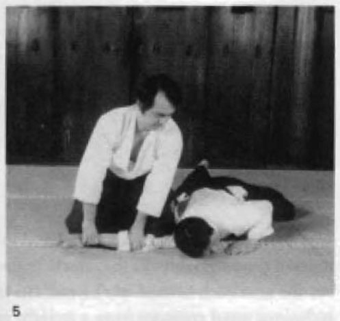Daitoryu photo 46