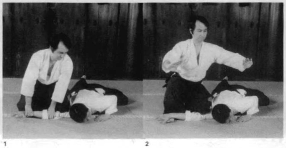 Daitoryu photo 47