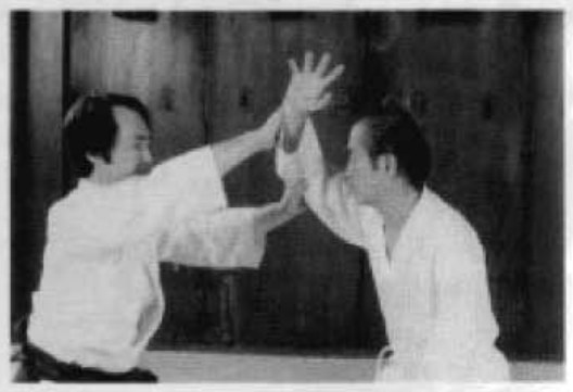 Daitoryu photo 48