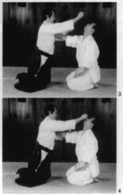 Daitoryu photo 52