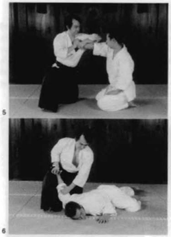 Daitoryu photo 53