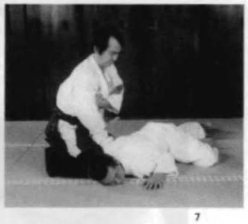 Daitoryu photo 54