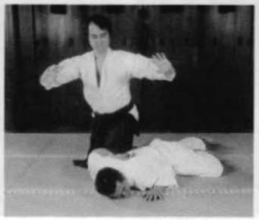 Daitoryu photo 55