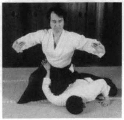 Daitoryu photo 67