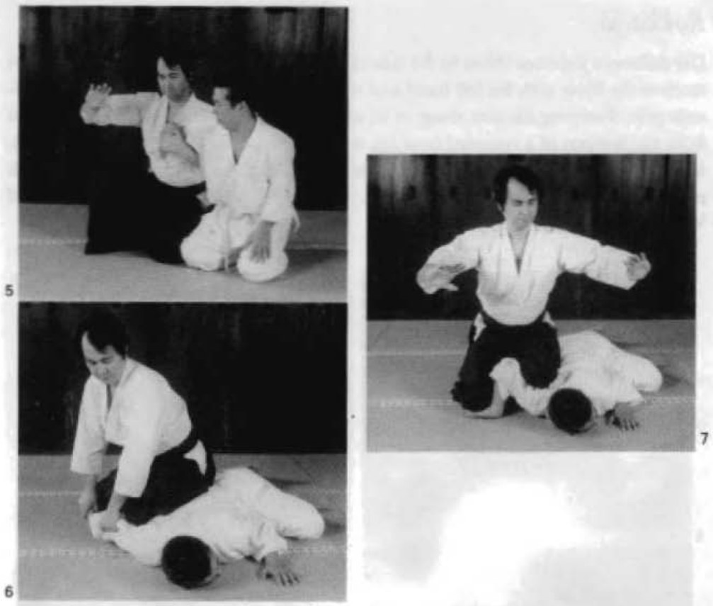 Daitoryu photo 69