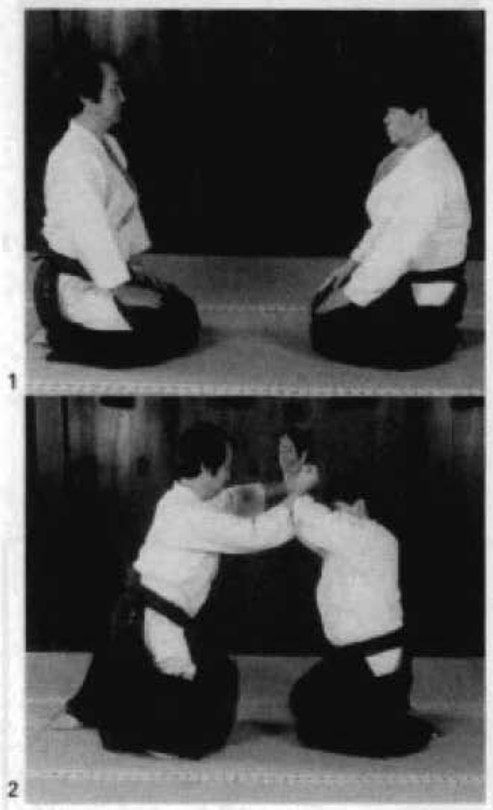 Daitoryu photo 71