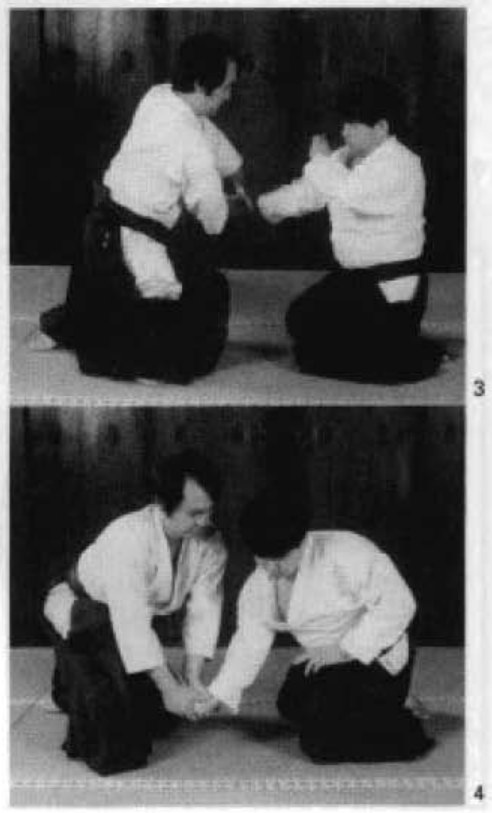 Daitoryu photo 72
